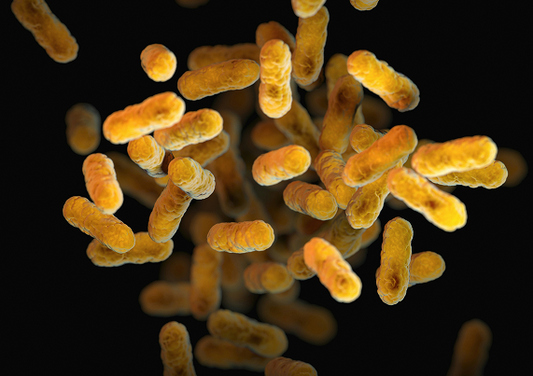 The gut-skin connection