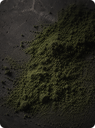 Green Tea Extract (EGCG)