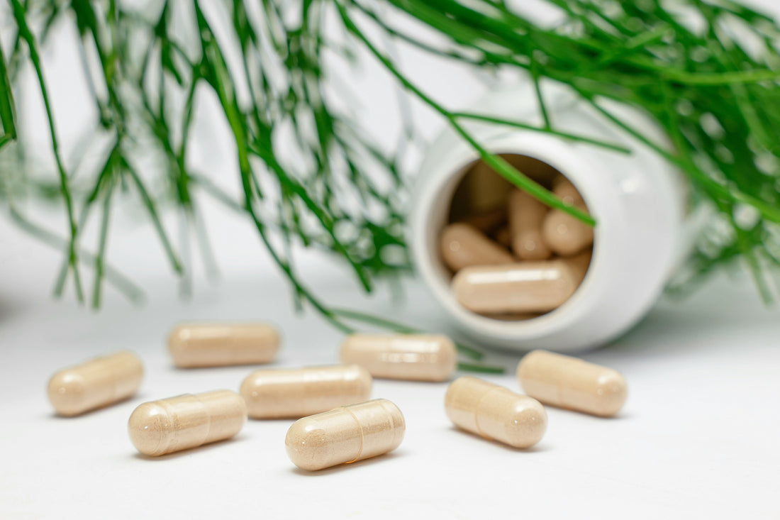 Oral ceramides: can a skin-barrier ingredient work from within?